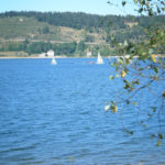 Lac & arbre