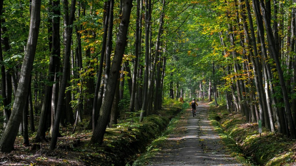 location de vtt autour du lac de naussac en lozere