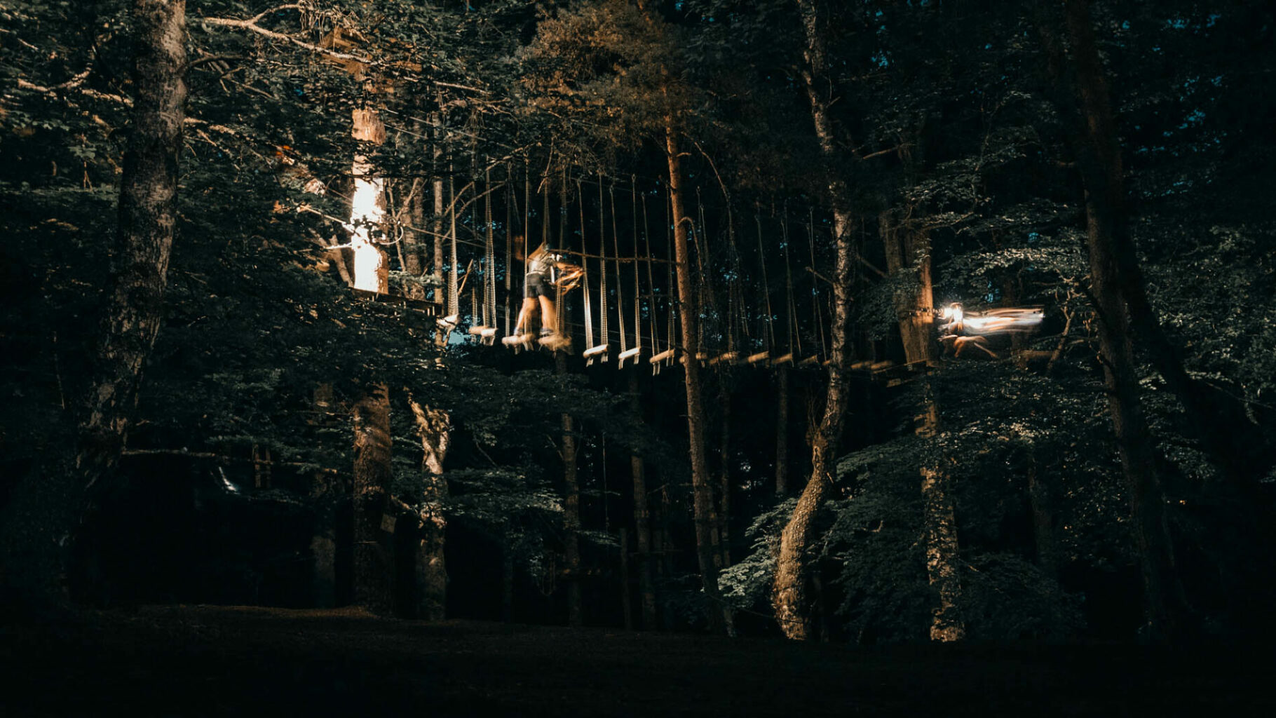 accrobranche nocturne en lozere