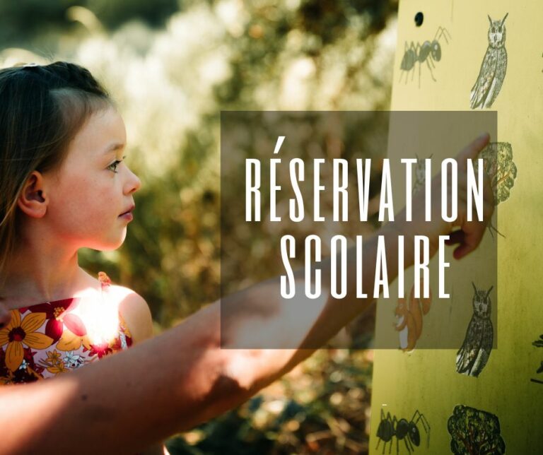 séjour scolaires à lyon