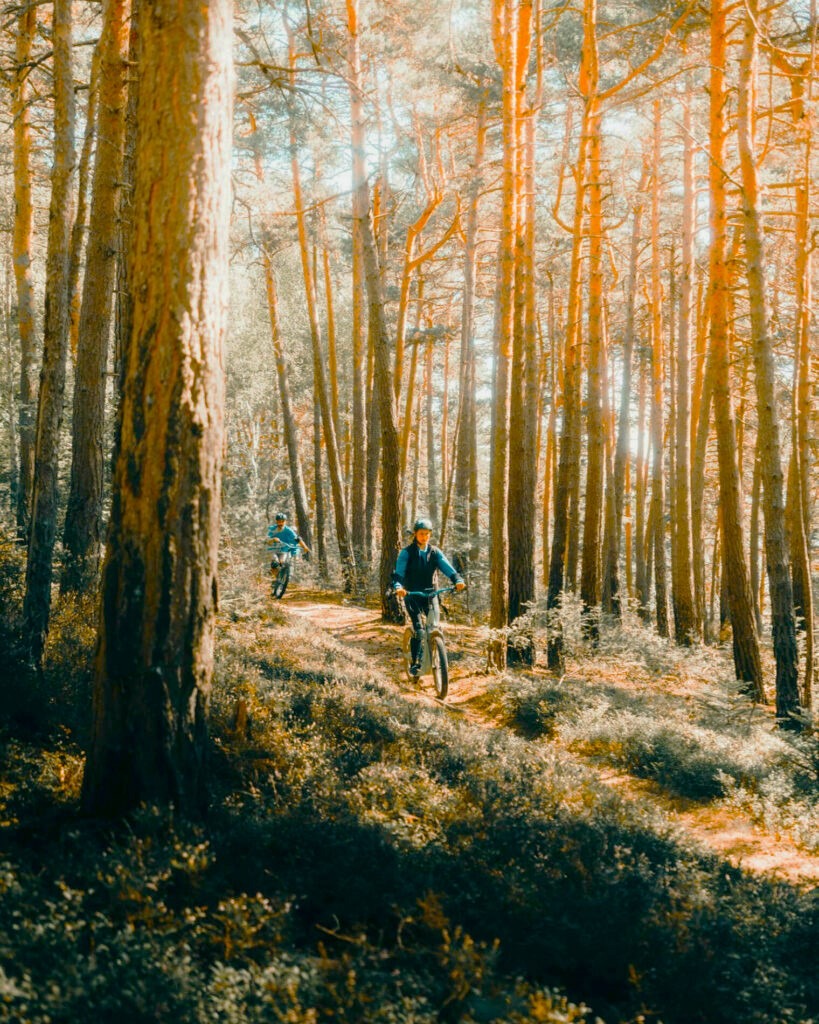 Activités en Lozère