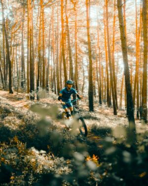 Balade en trottinette électrique en Lozère